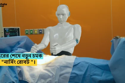 New glimpse at the end of the year, "Nursing Robot".