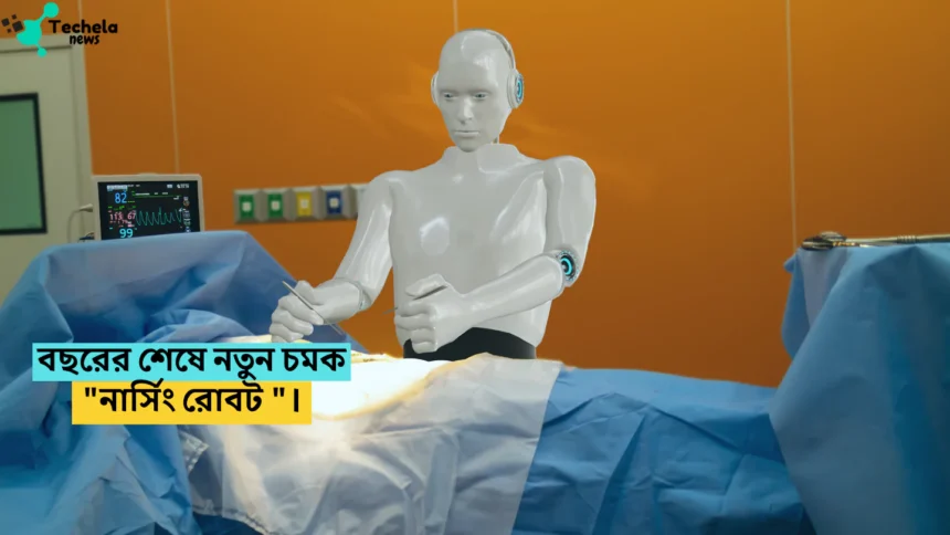 New glimpse at the end of the year, "Nursing Robot".